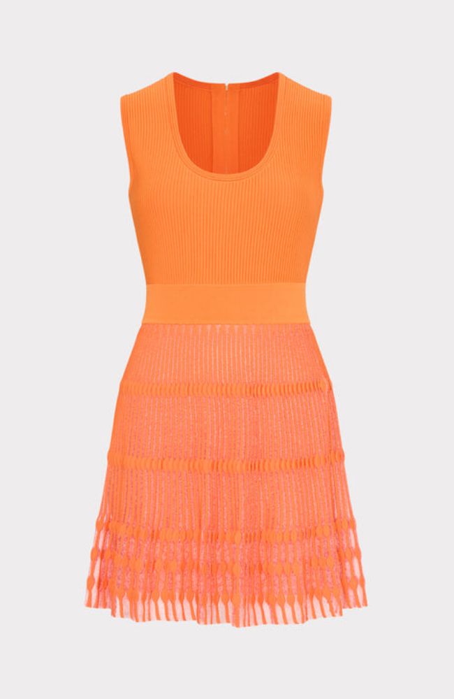 Sheer Knit Flare Mini Dress Sheer Knit Flare Mini Dress