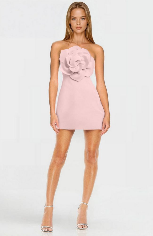 Cecile 3D Floral Bodice Dress shoprodeodrive Cecile 3D Floral Bodice Dress shoprodeodrive