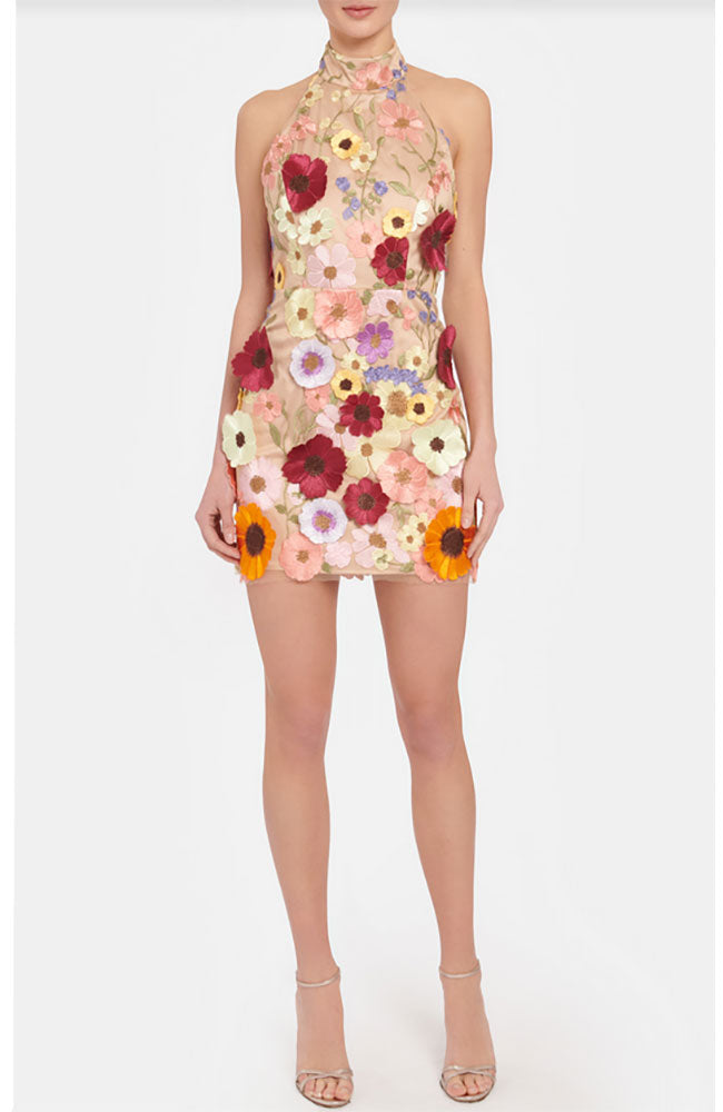 Hariet Floral Mesh Dress – shoprodeodrive