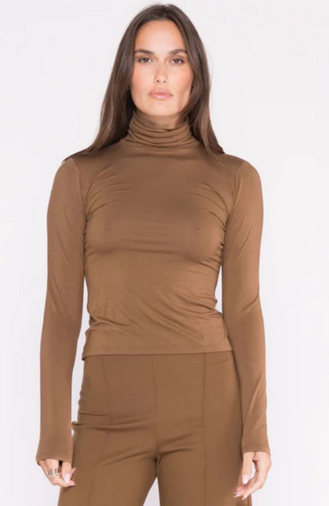 Turtleneck in Camel