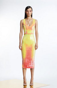 That Old Houdini Magic Dress