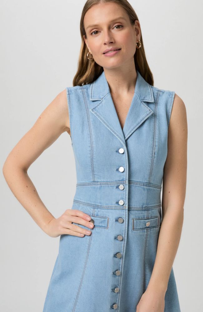 PAIGE Vida Dress in Blue