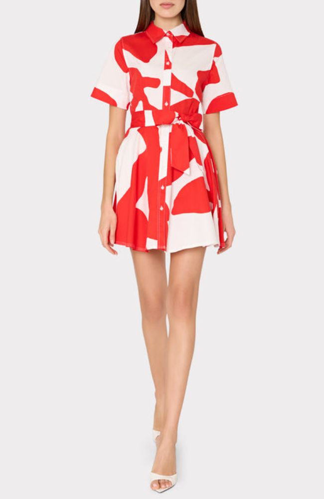 Grand Foliage Poplin Dress