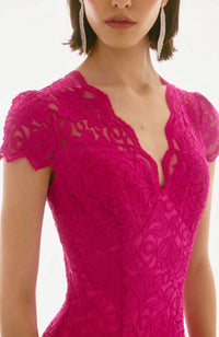 Stretch Lace Trumpet Dress