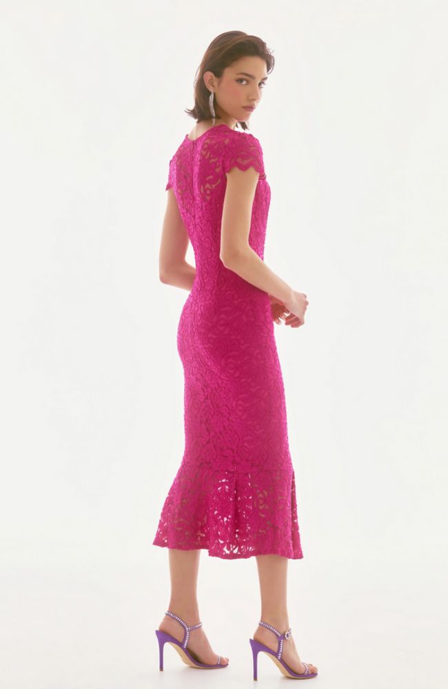 Stretch Lace Trumpet Dress