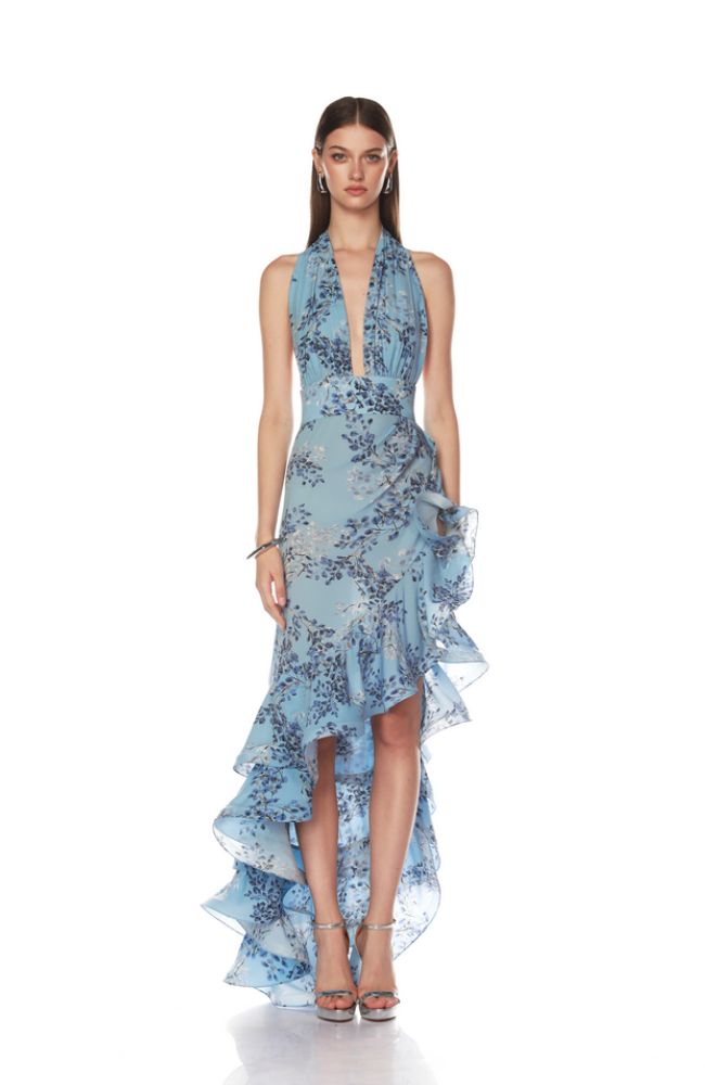 Bronte Blue Poppy Maxi Dress