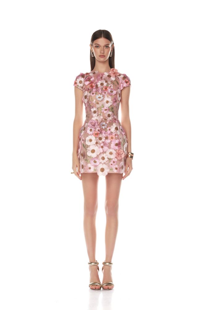 Jasmine Capsleeve Pastel Pink Mini Dress