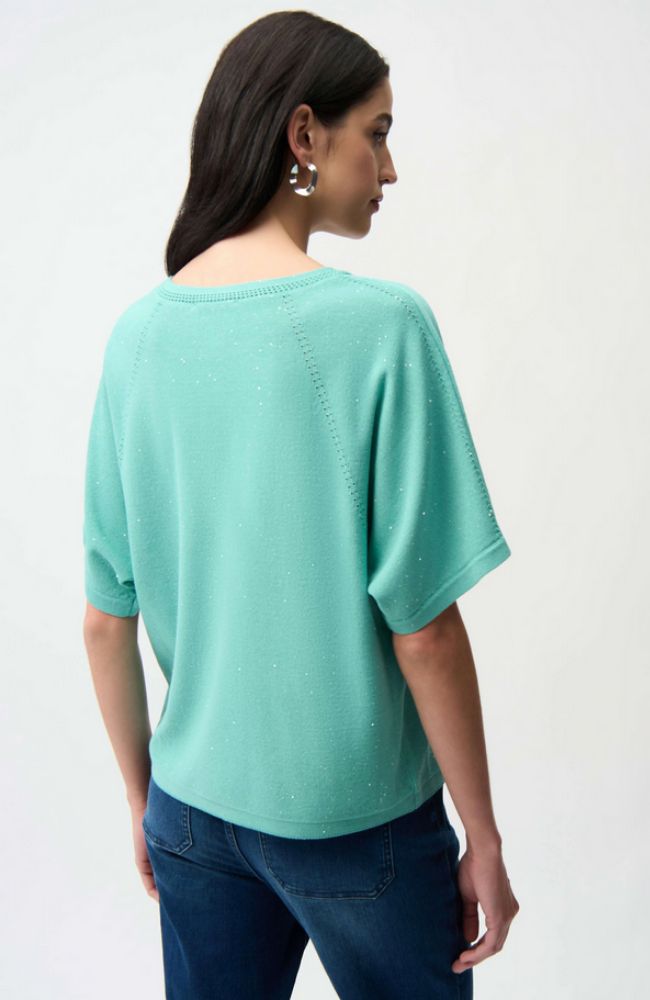 Sequins Yarn Short Sleeve Sweater