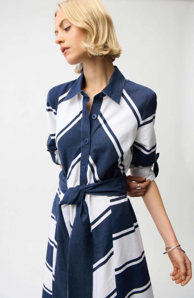 Stripe Fit and Flare Dress