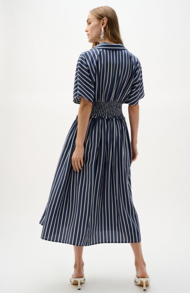 Poplin Stripe Print Dress