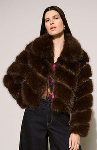 Faux Fur Collared Jacket