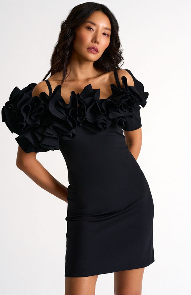 Rose Dress in Caviar