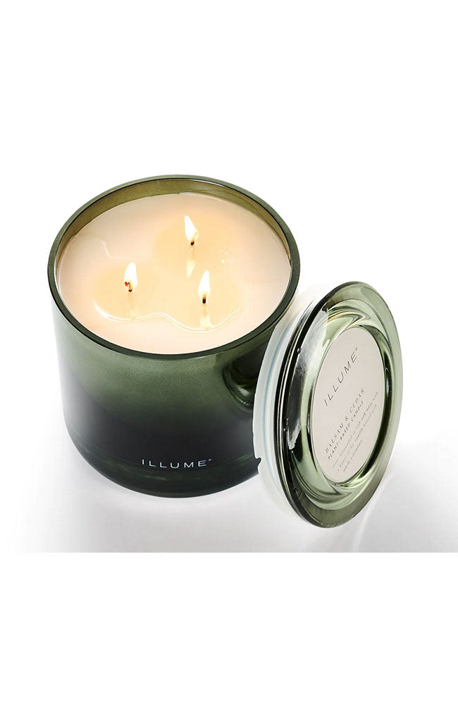 Balsam Cedar Statement Candle