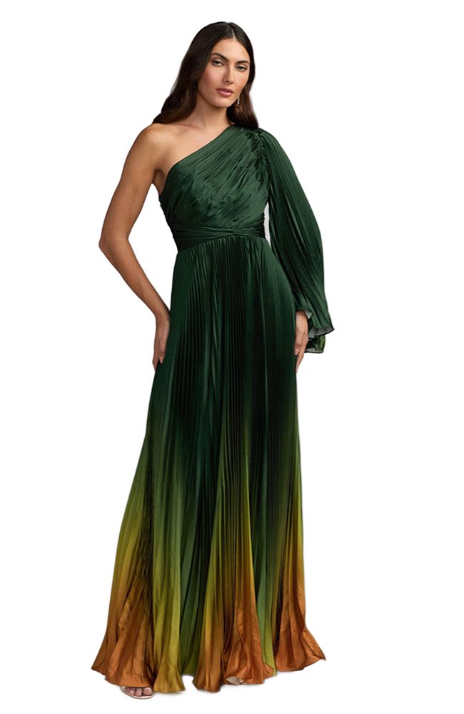Pleated Long Flare Sleeve Gown