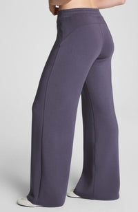 AE Wide Leg Pant in Storm