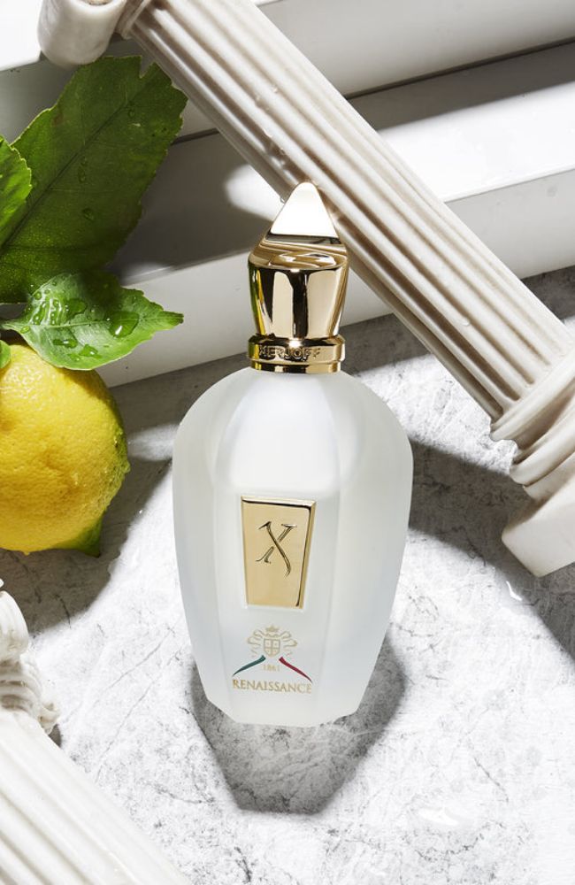 Renaissance EDP 100 ml – shoprodeodrive