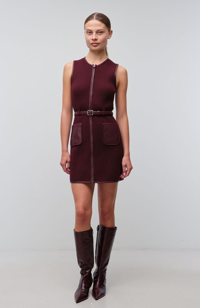 Viretta Mini Dress