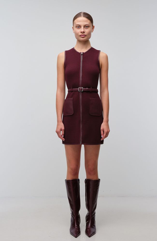 Viretta Mini Dress