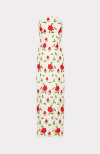 Kait Rose Embroidered Lace Dress