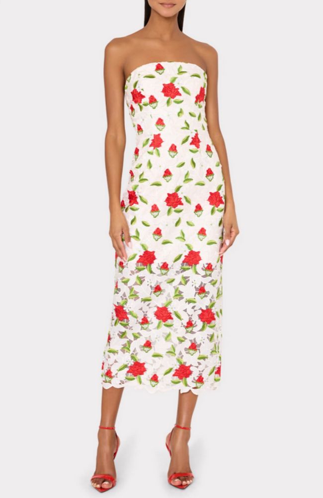 Kait Rose Embroidered Lace Dress