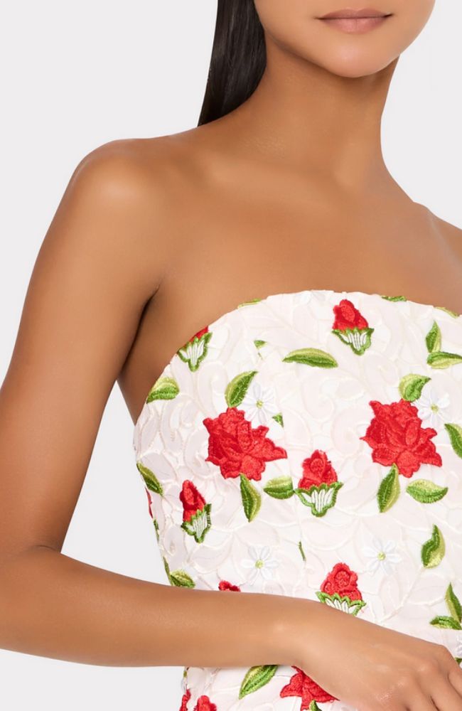 Kait Rose Embroidered Lace Dress