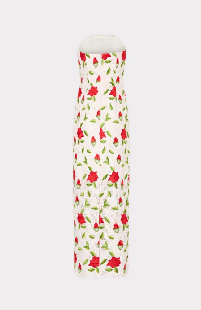 Kait Rose Embroidered Lace Dress