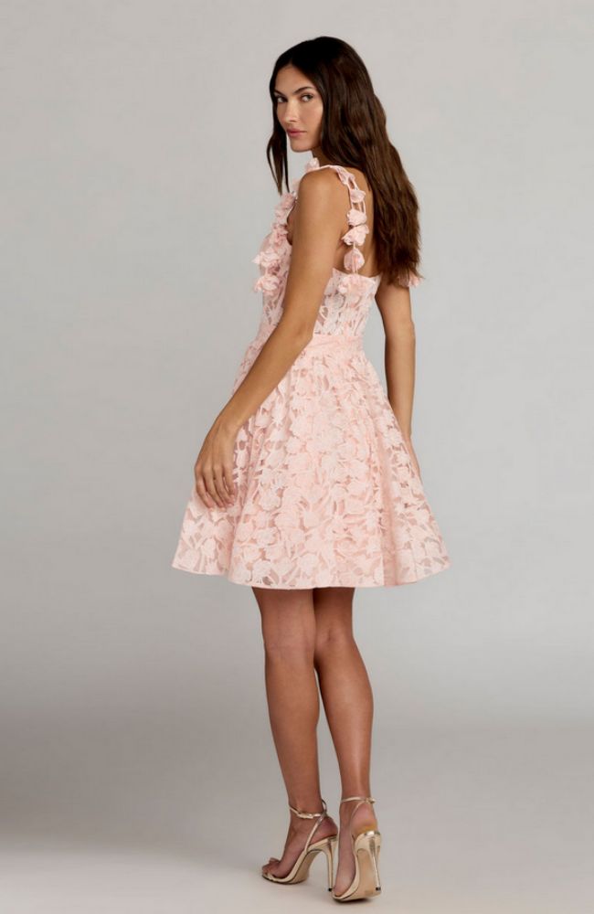 Bustier Ruffle Mini Dress