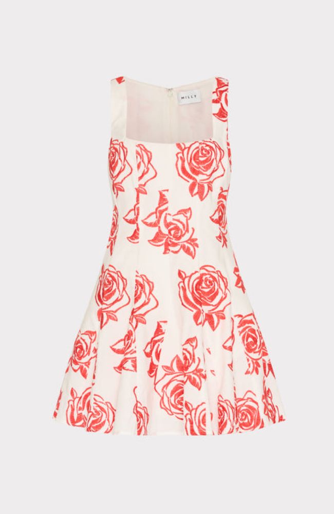 Ariel Rose Embroidery Mini Dress
