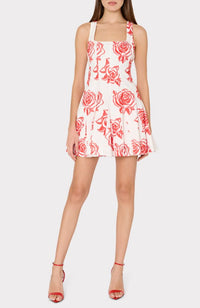 Ariel Rose Embroidery Mini Dress