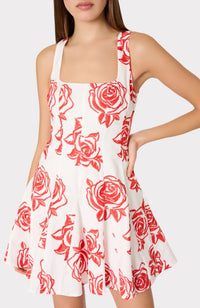 Ariel Rose Embroidery Mini Dress