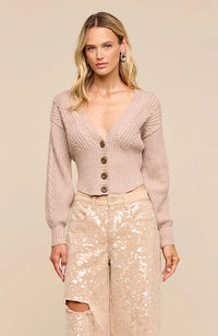 Hail Vneck Cable Cardigan