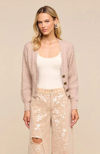 Hail Vneck Cable Cardigan