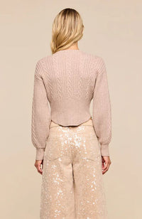 Hail Vneck Cable Cardigan
