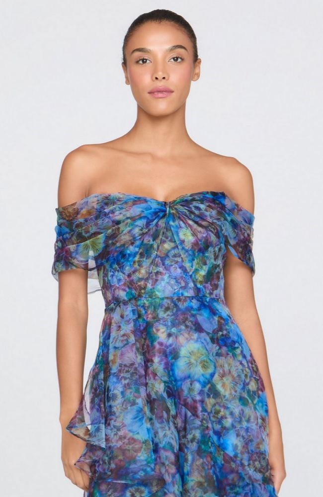 Alona Off Shoulder Gown