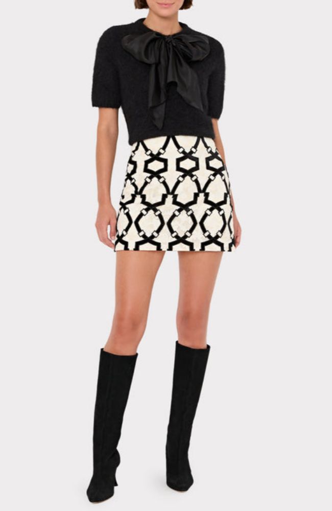 Jayla Velvet Flock Lace Skirt
