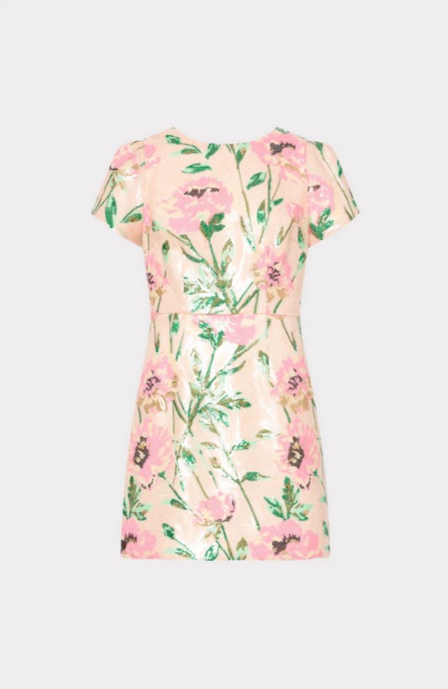 Rowen Floral Sequin Dress