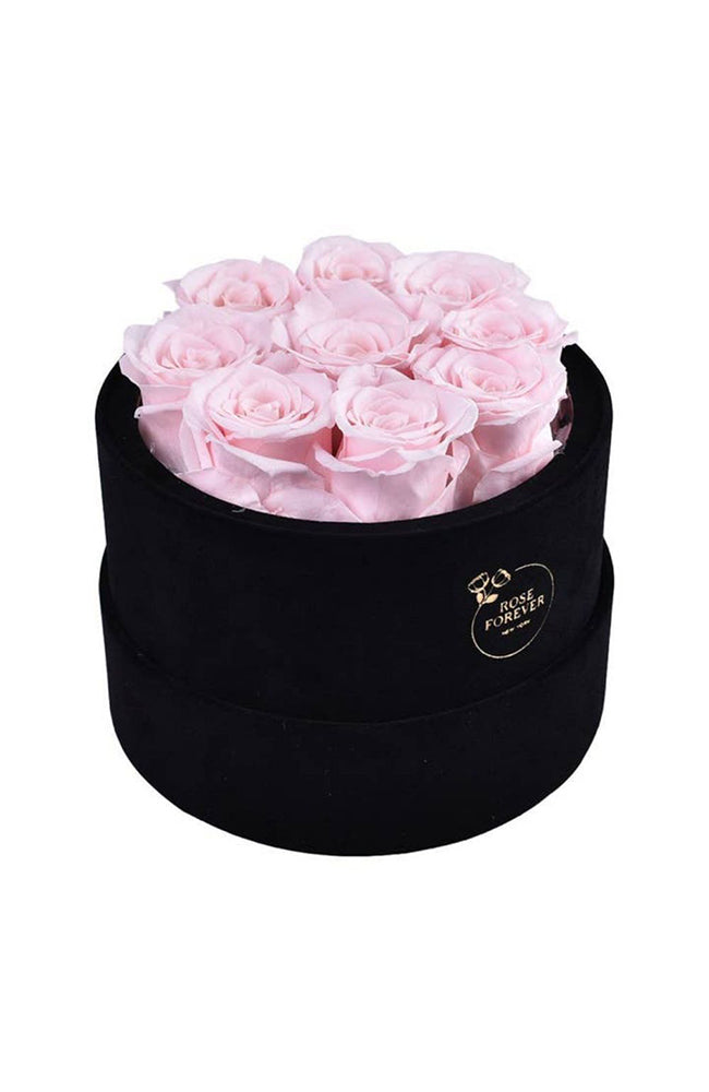 Essential Black Velvet Light Pink Boxed Roses