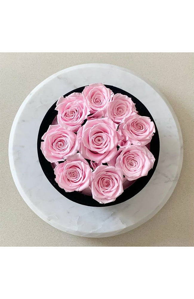 Essential Black Velvet Pearl Pink Boxed Roses