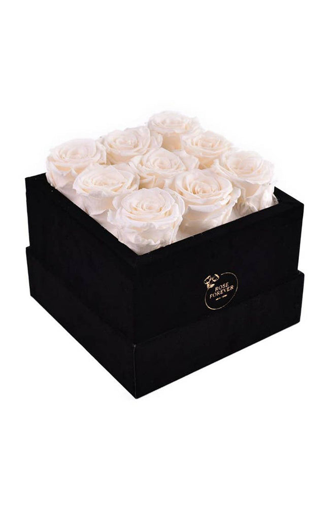 Essential Black Velvet Ivory Boxed Roses