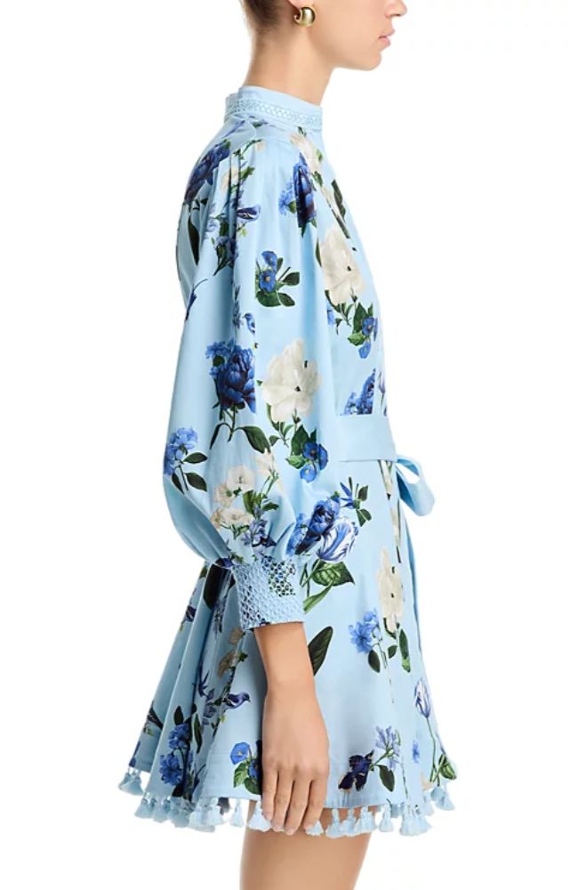CC606P74519 Lucy Longsleeve Mini Dress