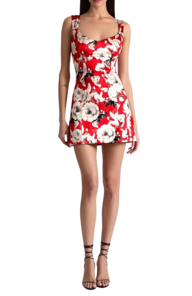 CC607P75515 Renee Fitted Mini Dress