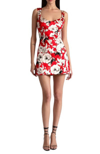 CC607P75515 Renee Fitted Mini Dress