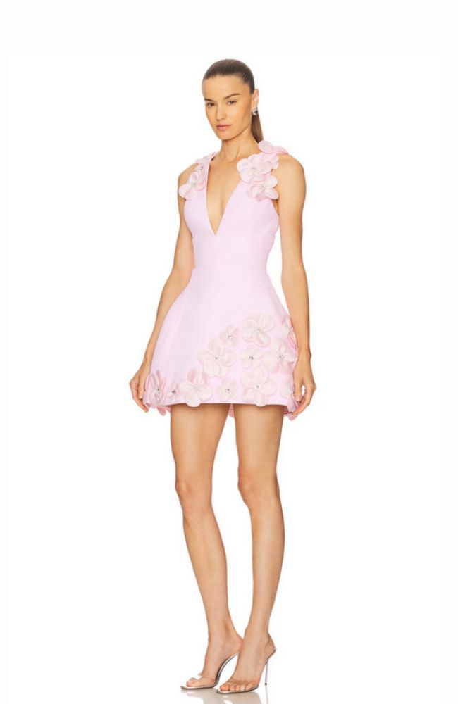 Estelle Blush Mini Dress