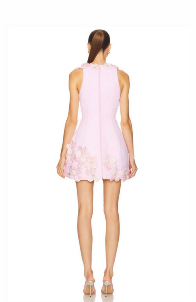 Estelle Blush Mini Dress