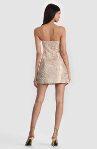 Hallie Lantern Mini Dress