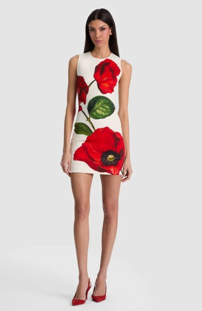 Wynell Fitted Mini Dress