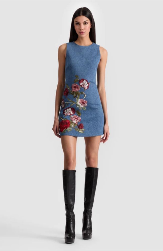 Cade Shift Denim Mini Dress