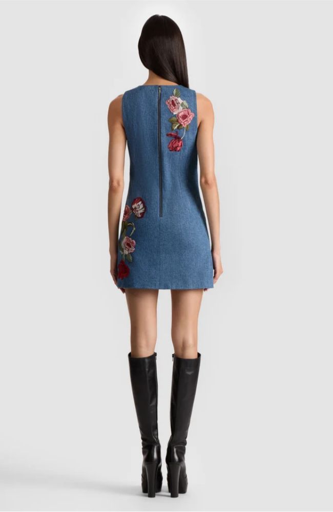 Cade Shift Denim Mini Dress