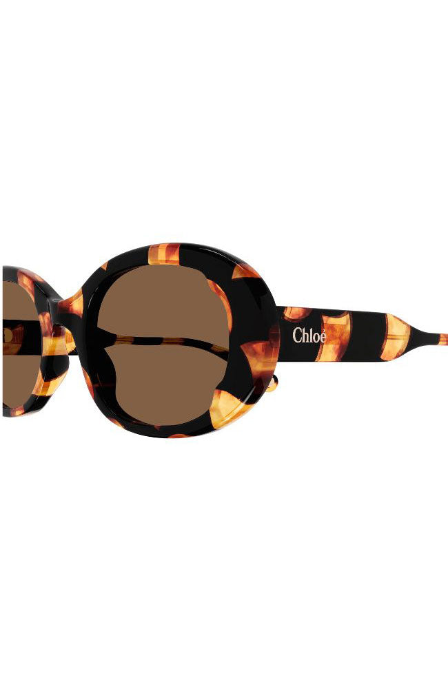 Chloe Sunglasses Butterfly Havana