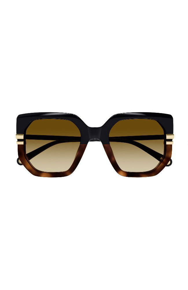 Chloe Sunglasses Havana Sqaure Black Brown